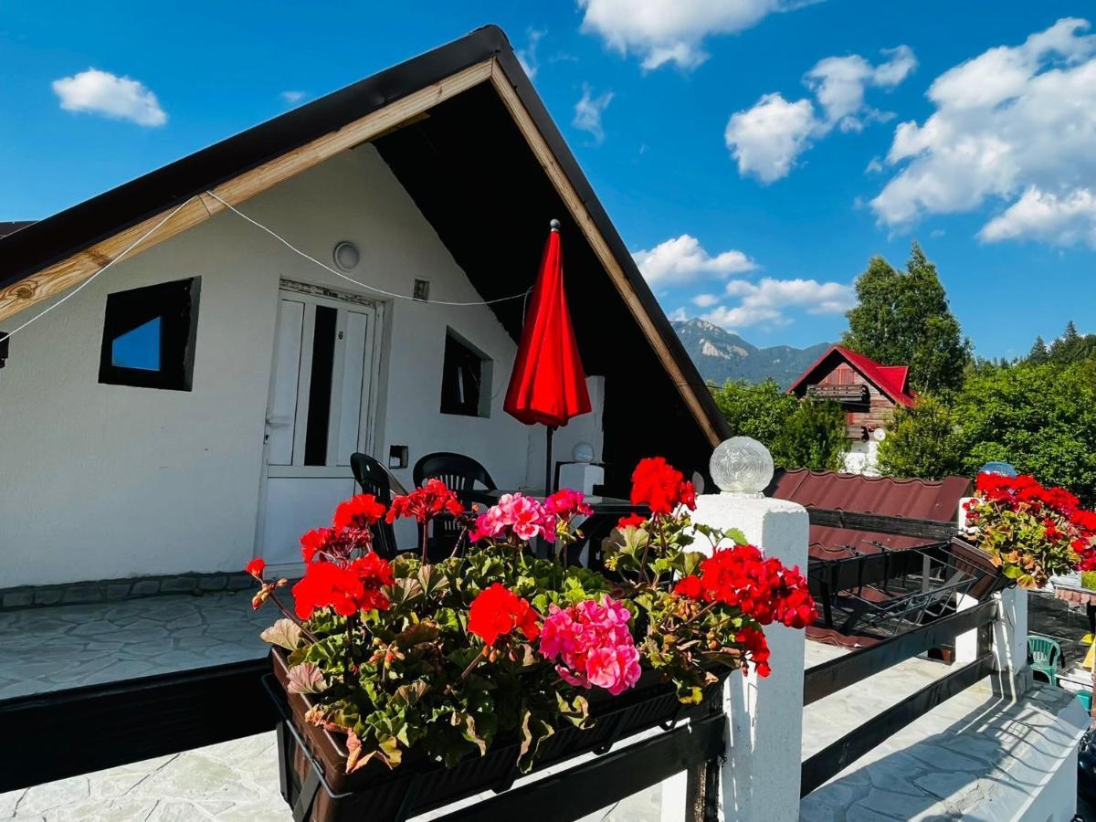Hotel Poarta Zaganului Cheia Cheia  Zewnętrze zdjęcie